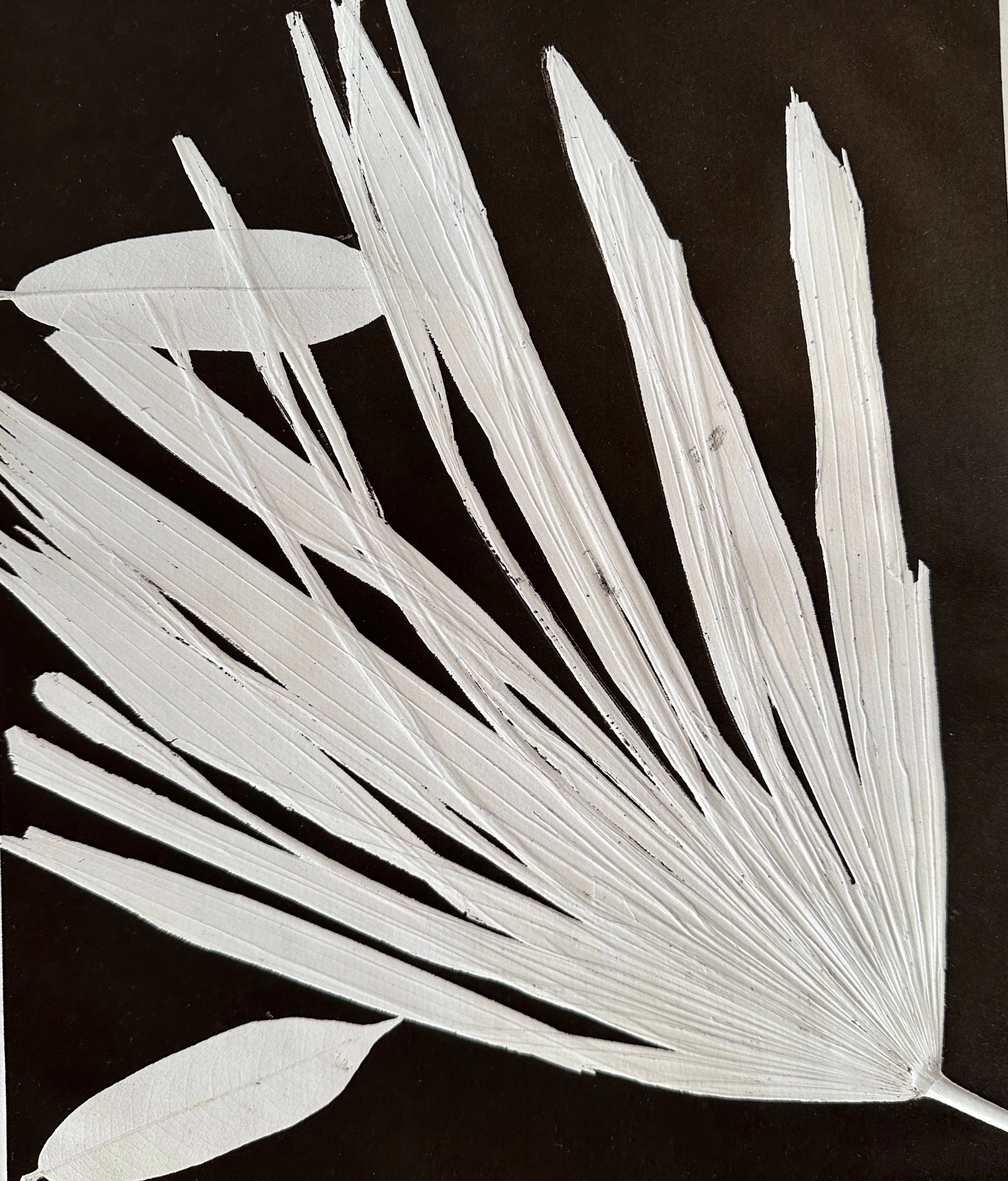 Caruso, J. Palm Print. Monoprint. 14 x 11 in. 2024..jpeg