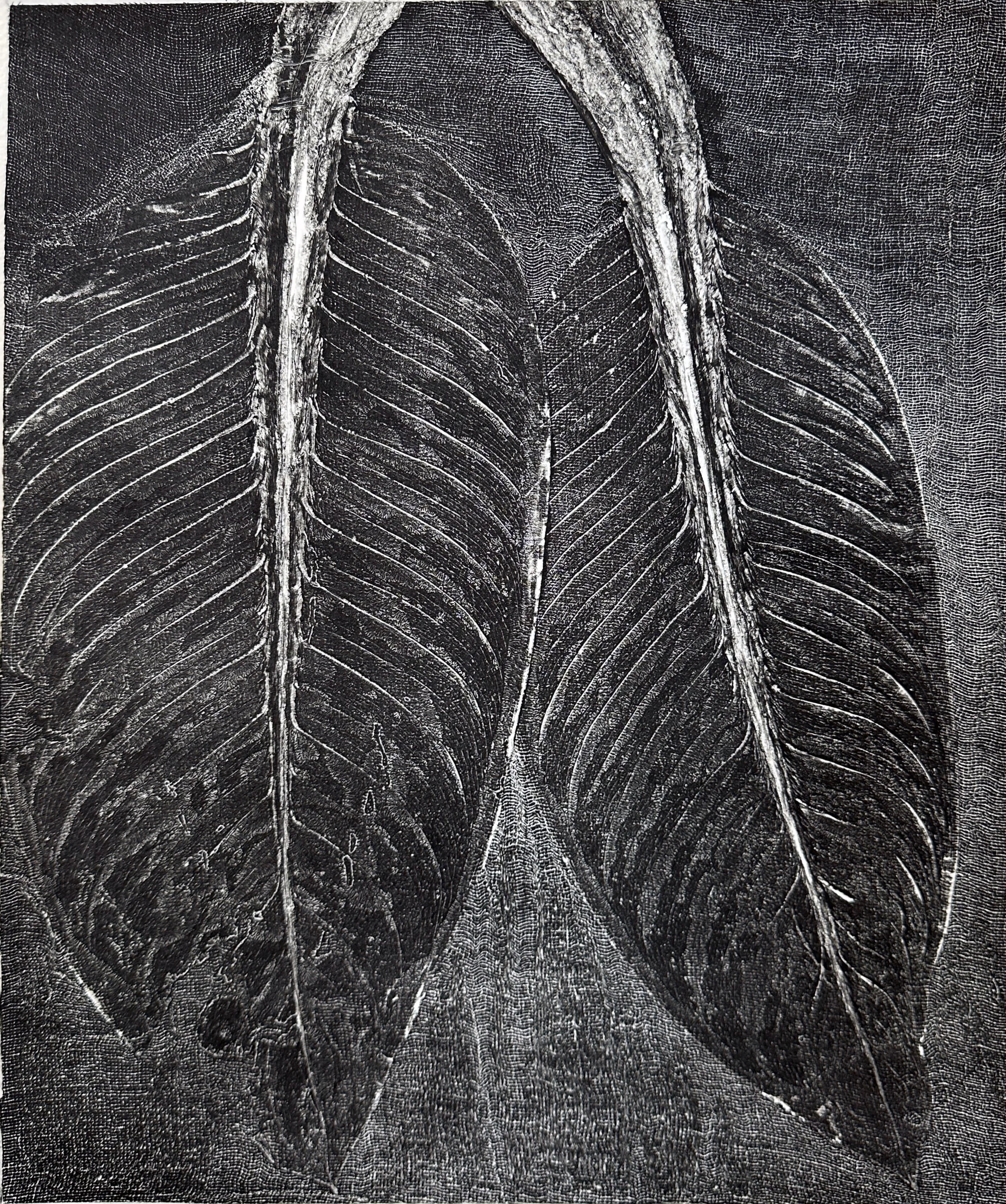 Attachment-1 copy.jpeg