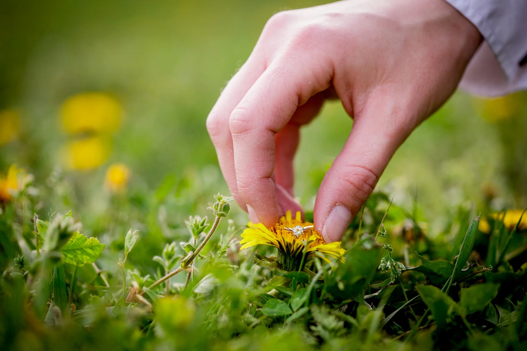 Brandon_Shafer_Photography_Shane_Ashley_Greenhouse_Farm_Michigan_Engagement_0032.jpg