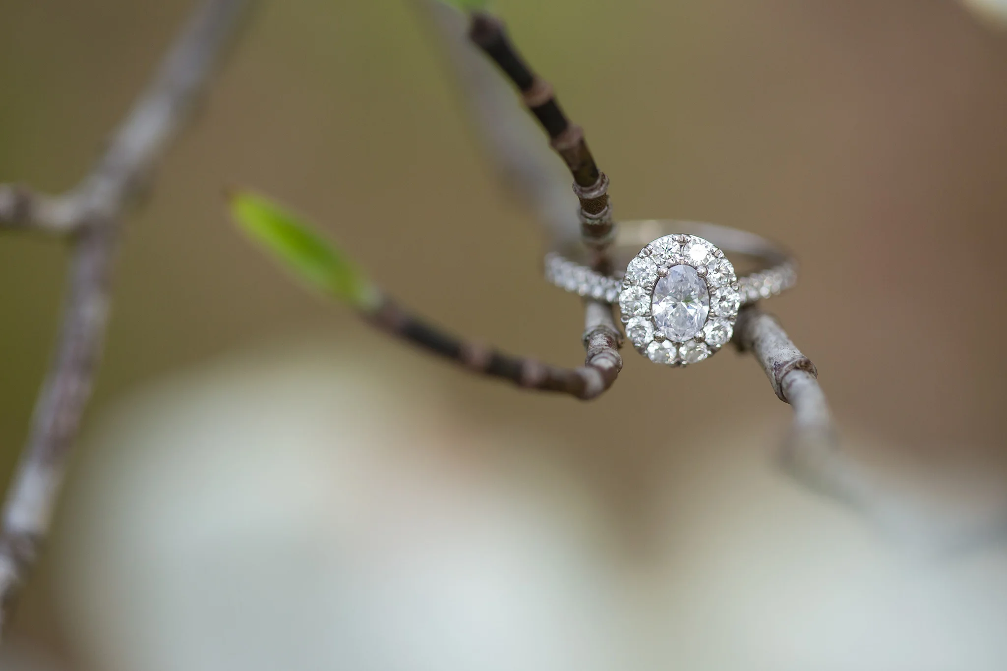 Chelsea&Nick_Engagement_0010.jpg