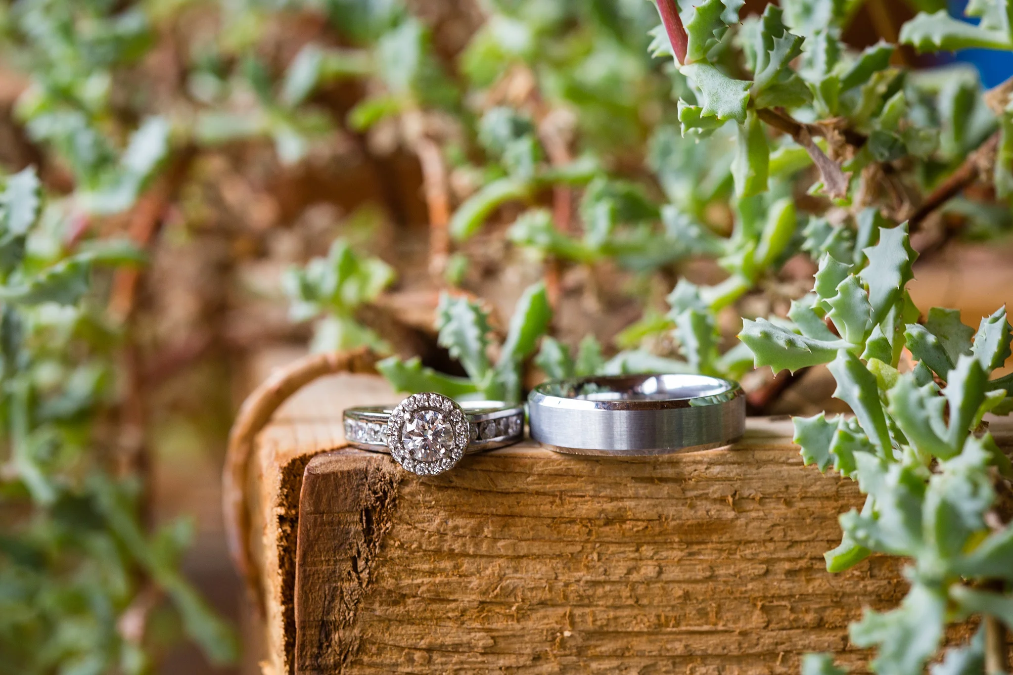 Brandon_Shafer_Photography_Grand_Rapids_Bride_Groom_0012.jpg