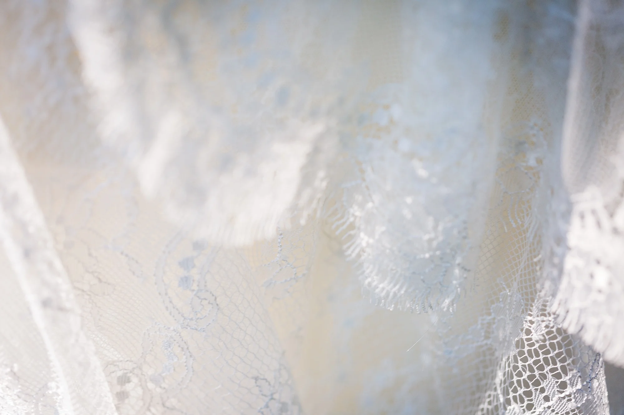 Brandon_Shafer_Photography_Ryan_Lila_Holland_Wedding_0006.jpg