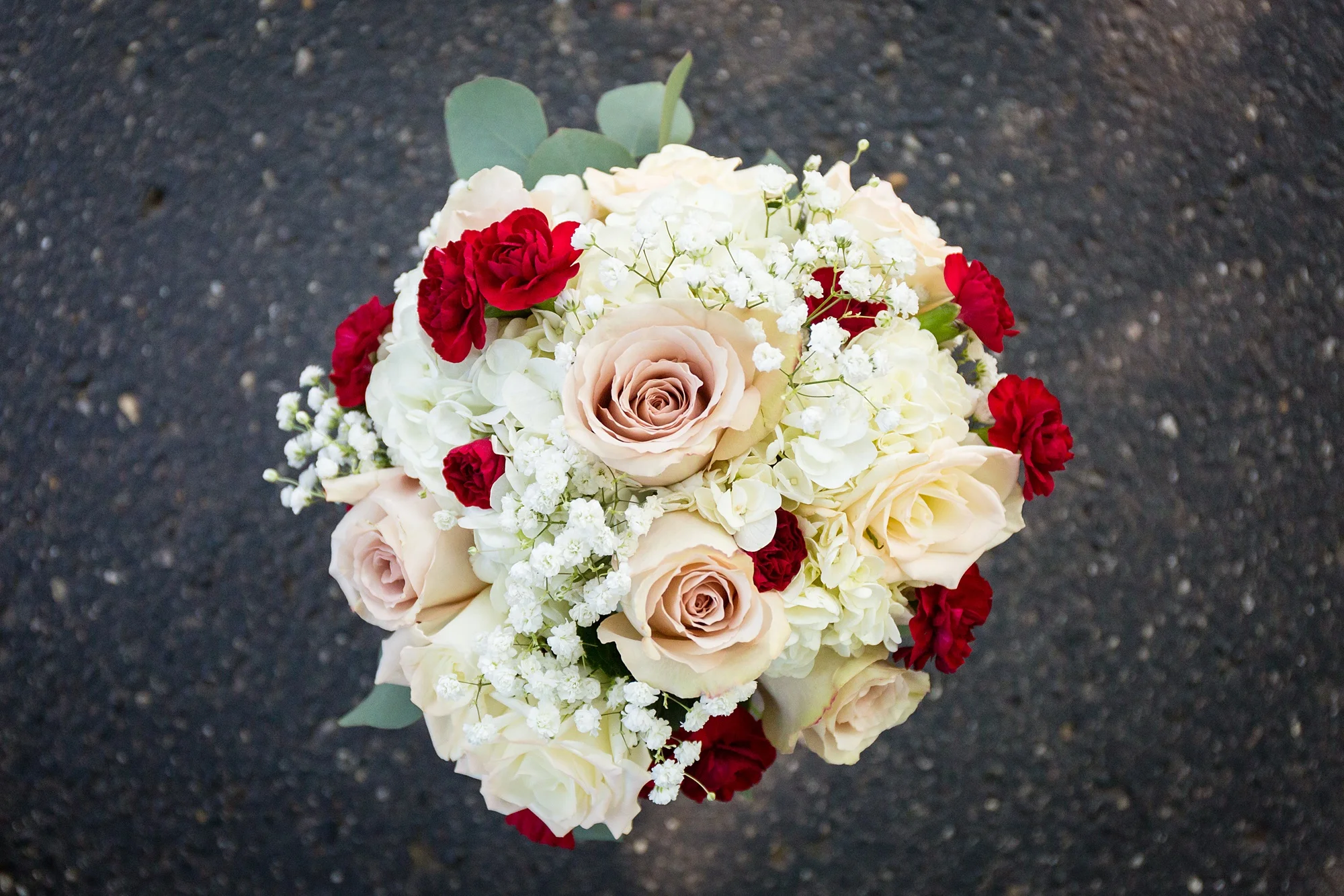 Brandon_Shafer_Photography_Ryan_Lila_Holland_Wedding_0016.jpg