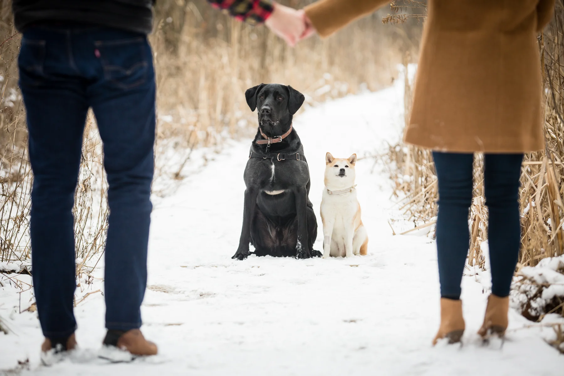 Doug&Kara_winter_Engagment_Photos_Brandon_Shafer_Photography_Blog-15.jpg