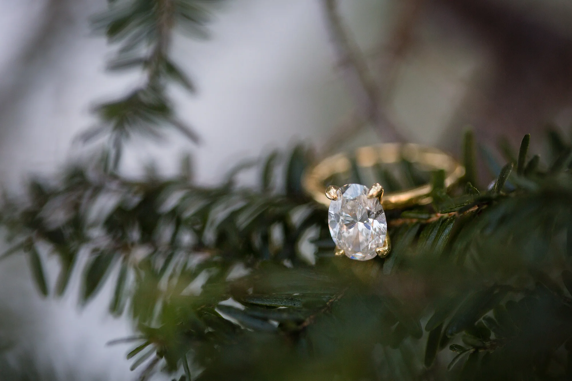 Brandon_Shafer_Photography_Nate_Chelsea_Engagment_Photography_0064.jpg