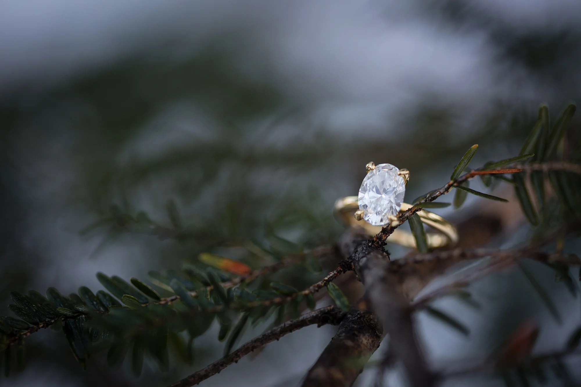 Brandon_Shafer_Photography_Nate_Chelsea_Engagment_Photography_0065.jpg