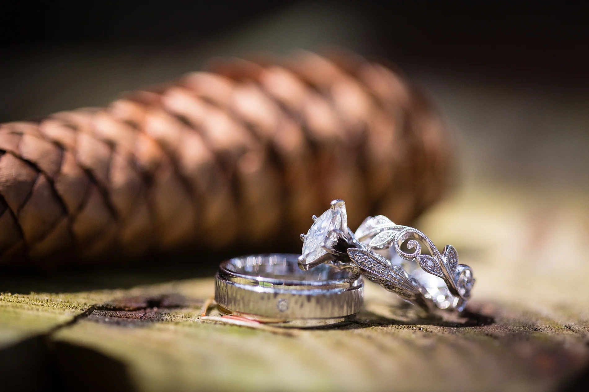 Brandon_Shafer_Photography_Brett_Autumn_Wedding_0001.jpg
