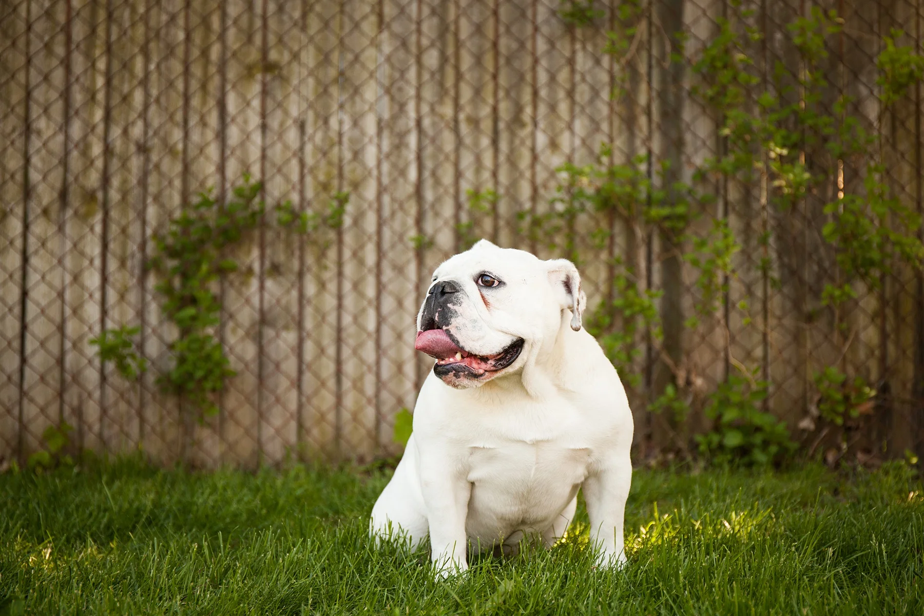 Brandon_Shafer_Photography_Lifesyle_Gallery_0084.jpg