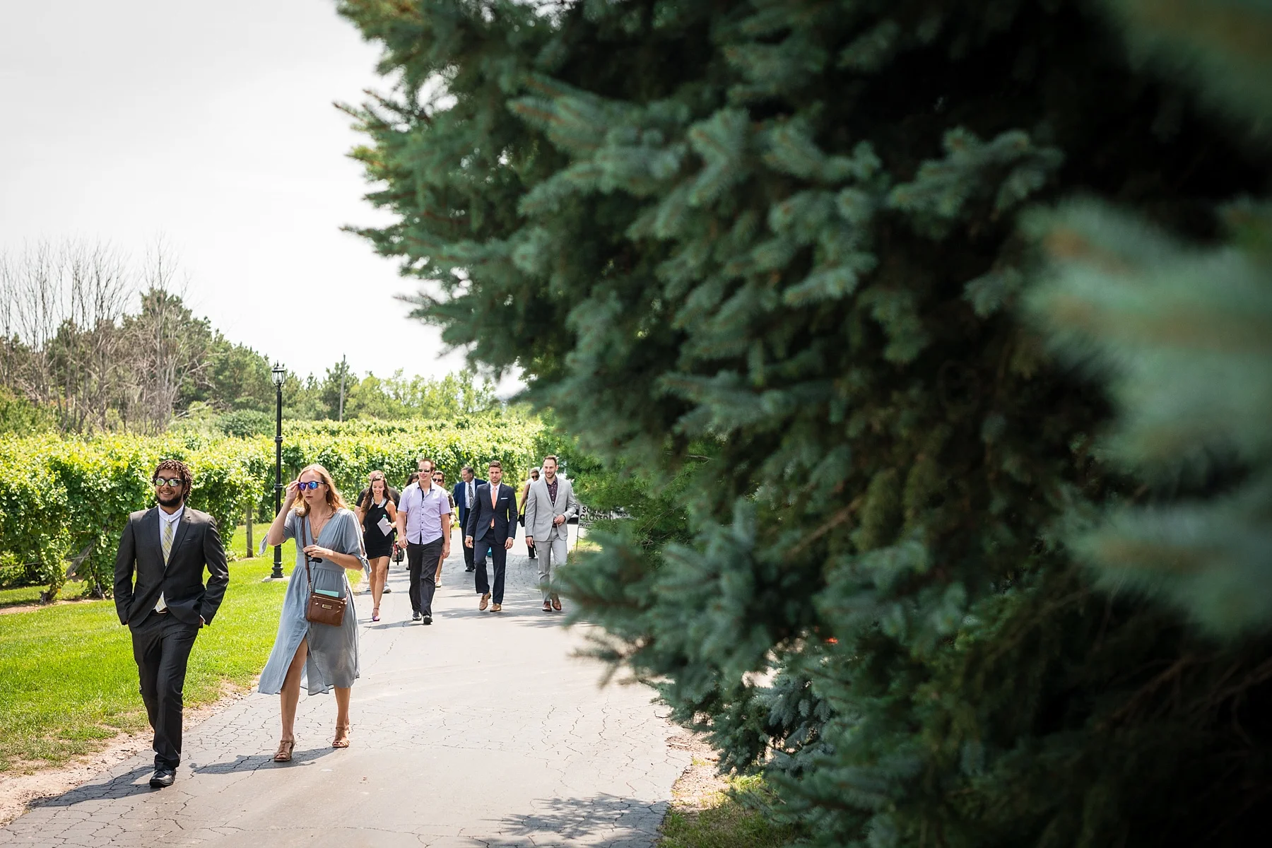 Brandon_Shafer_Photography_Lauren_Vasile_Ciccone_Vineyard_Suttons_Bay_Wedding_0012.jpg