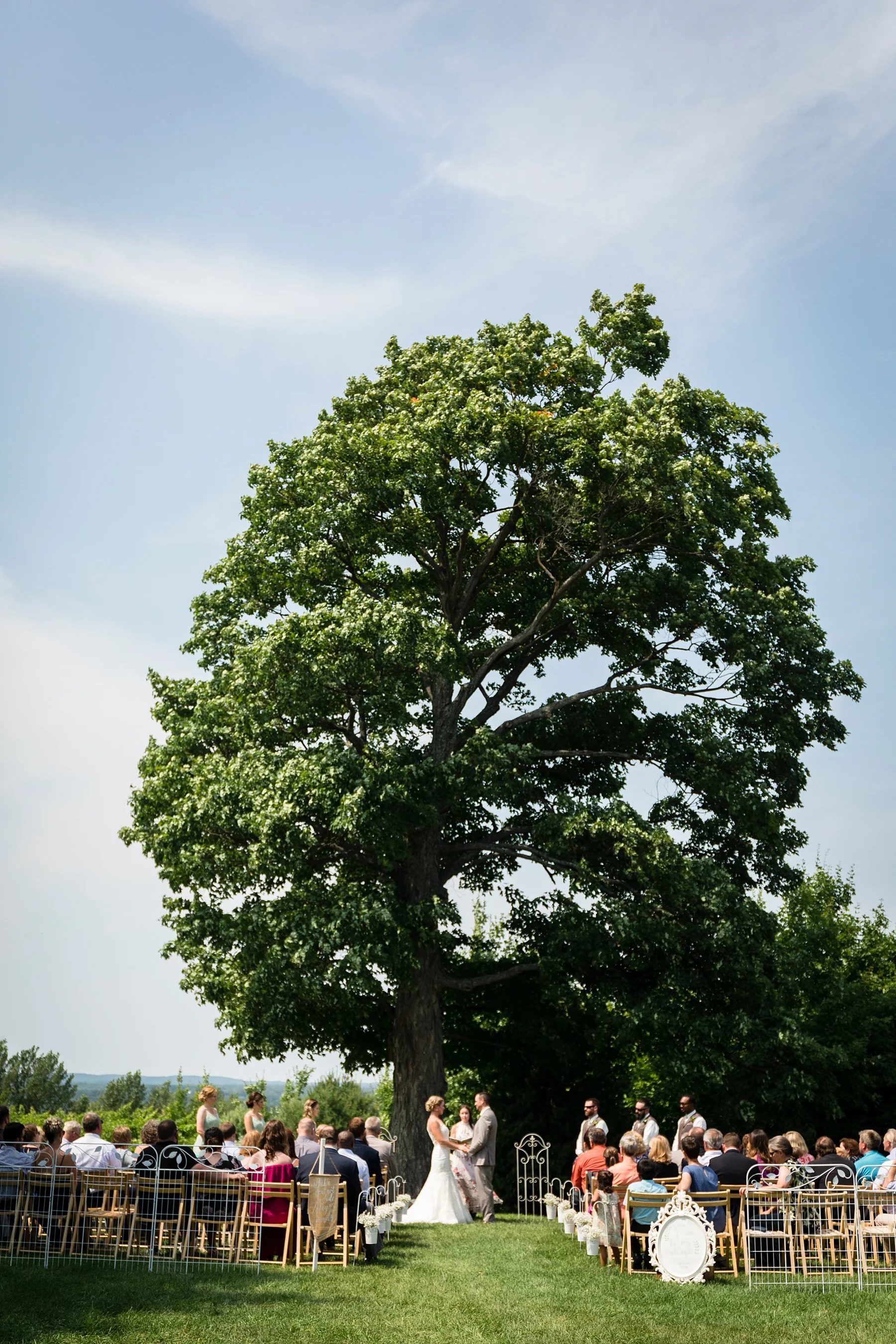 Brandon_Shafer_Photography_Lauren_Vasile_Ciccone_Vineyard_Suttons_Bay_Wedding_0022.jpg