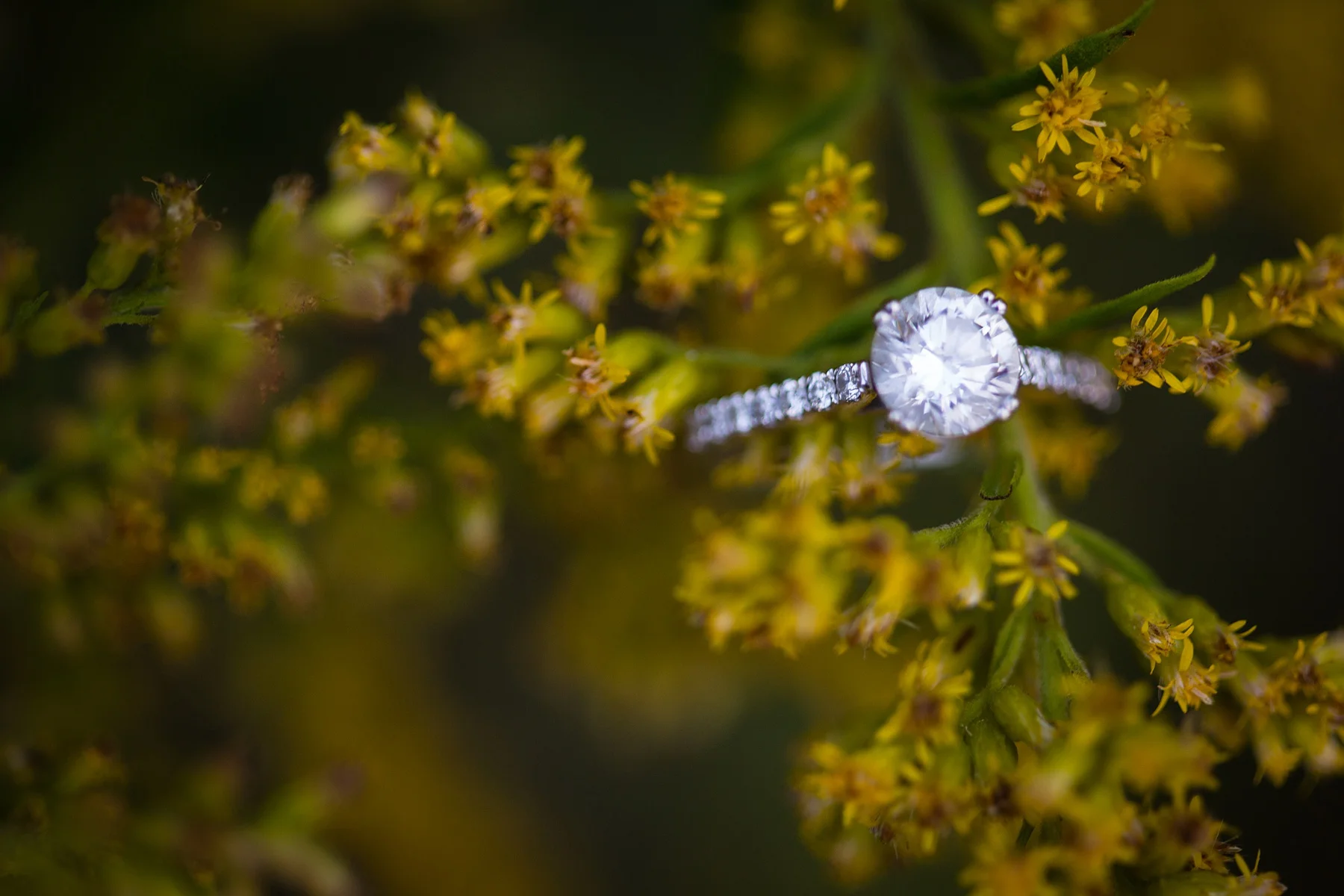 Brandon_Shafer_Photography_Megan_Nate_West_Michigan_Engagement_Photos_0020.jpg
