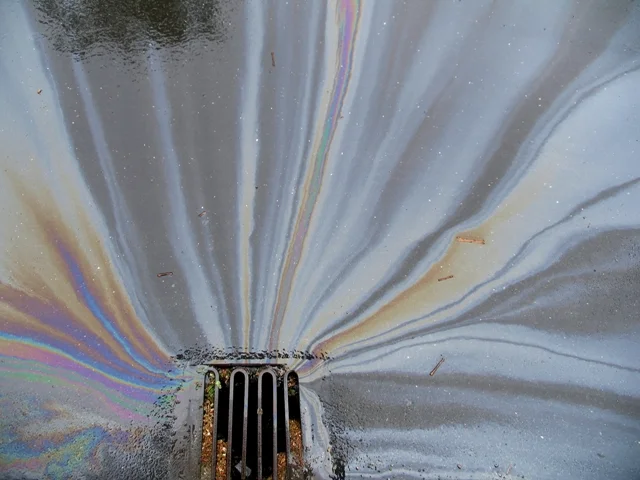 Drain with oil.jpg