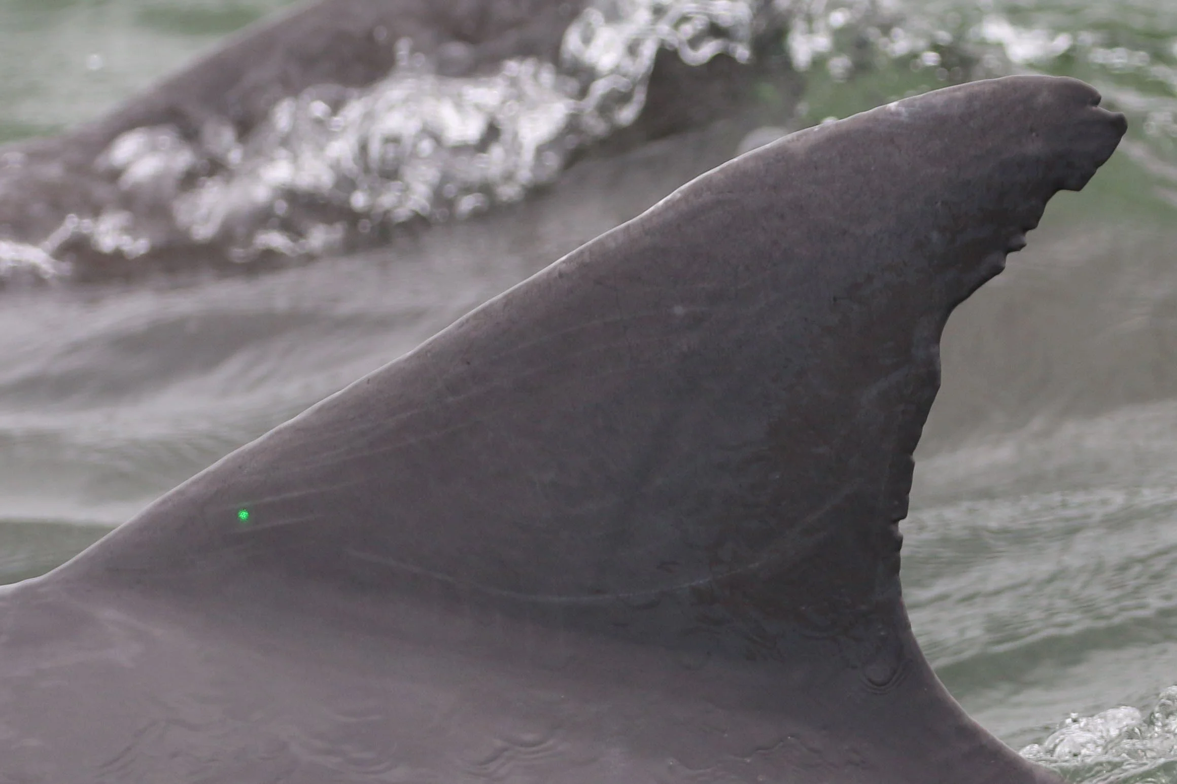 Rutherford Brichard Hayes