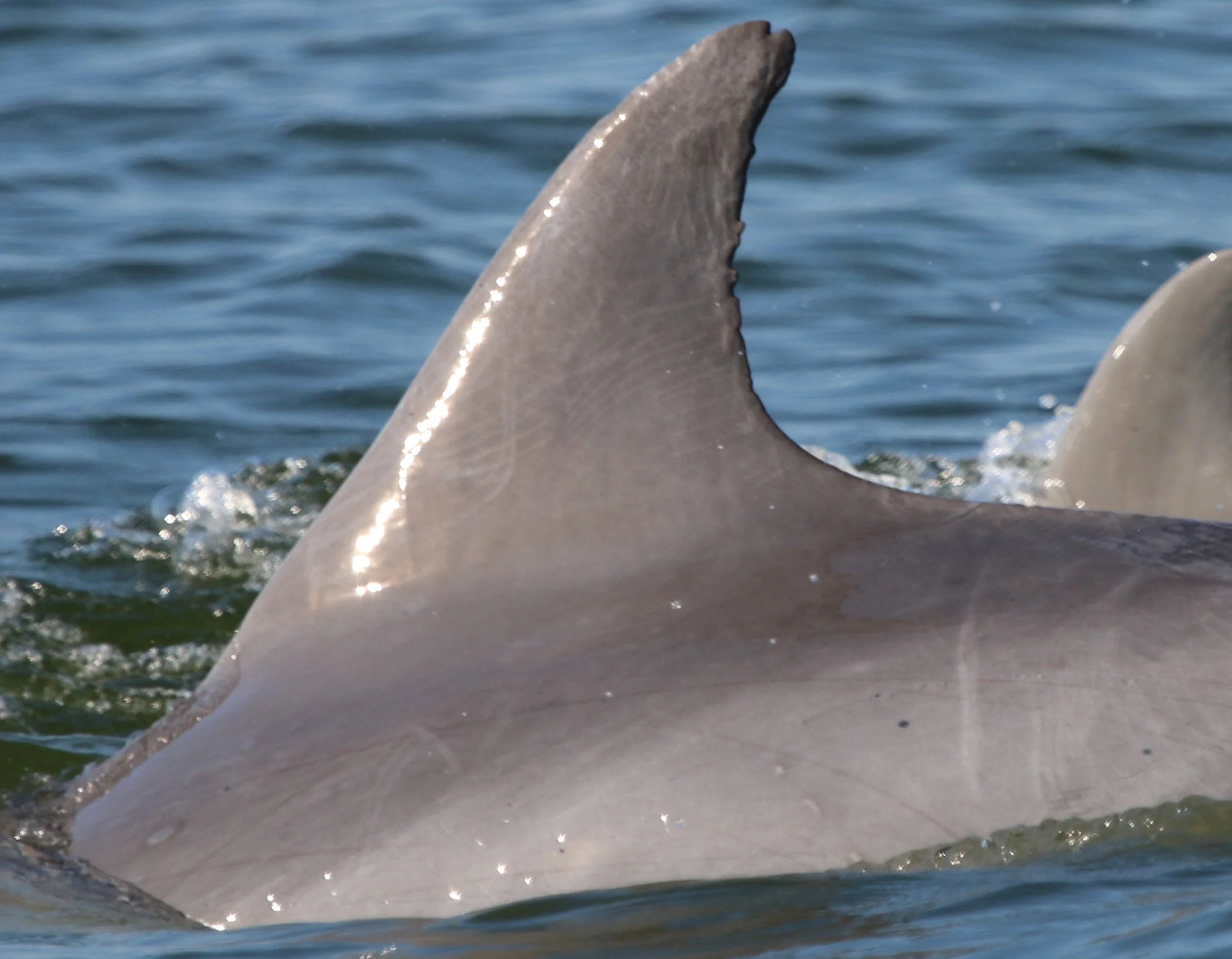 John Cabell Breckinridge