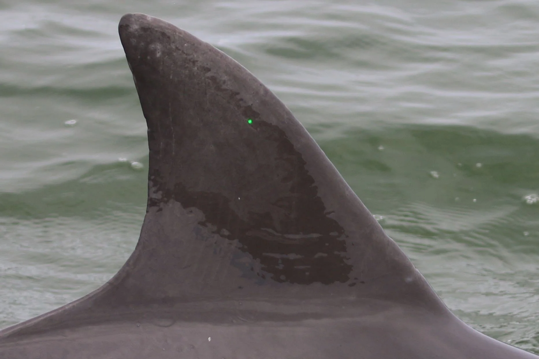 Richard Mentor Johnson