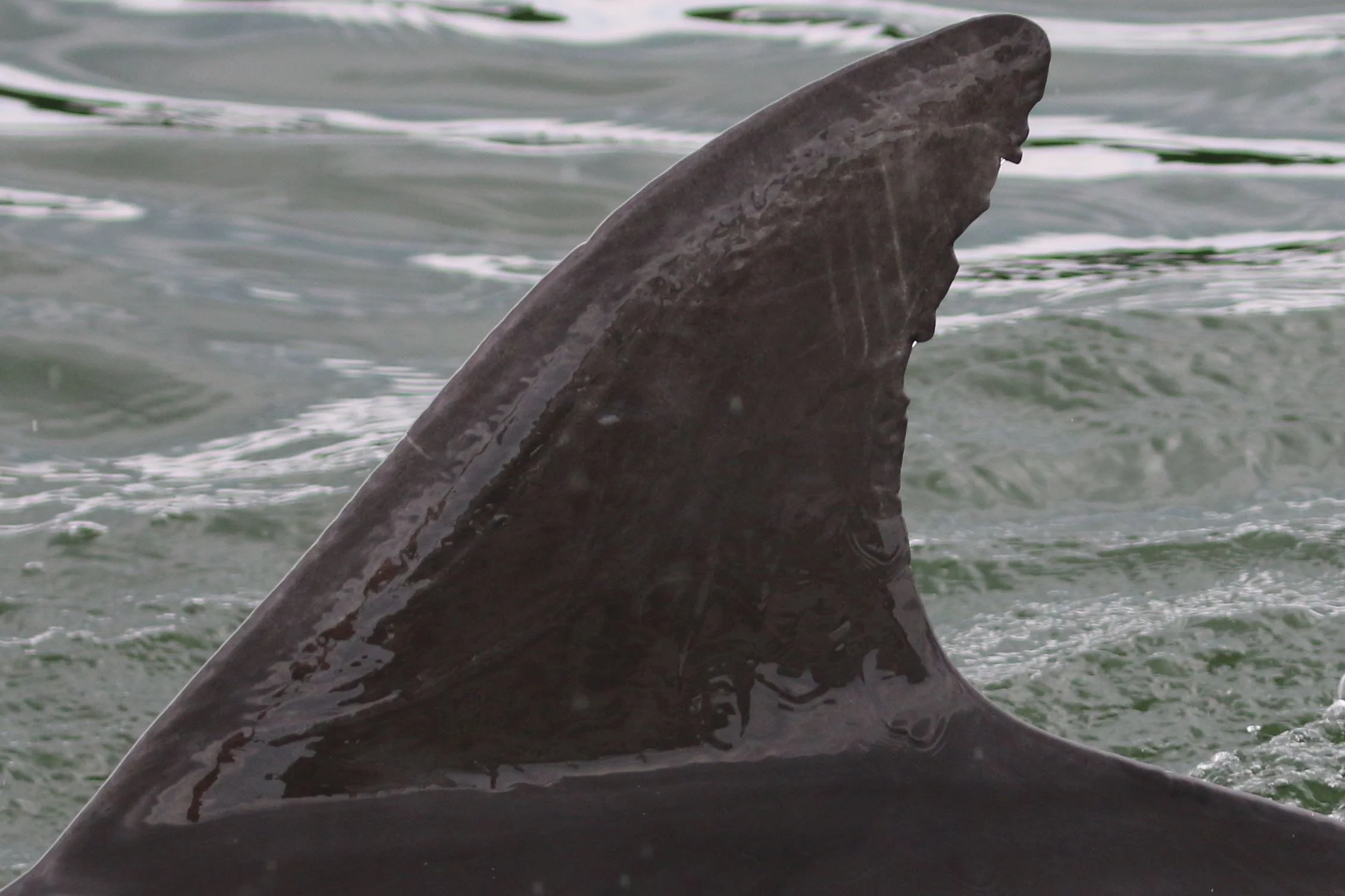 Charles Warren Fairbanks 