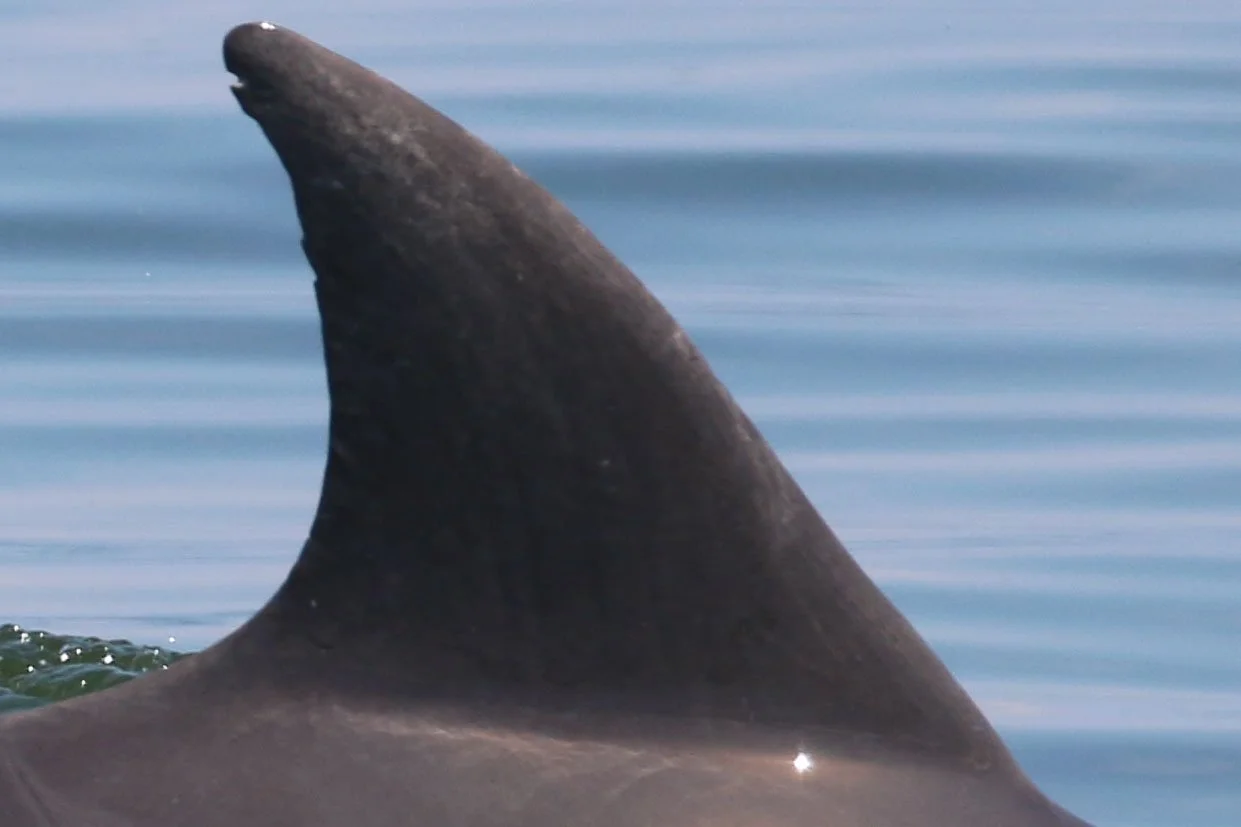 Margaretta Happy Rockefeller