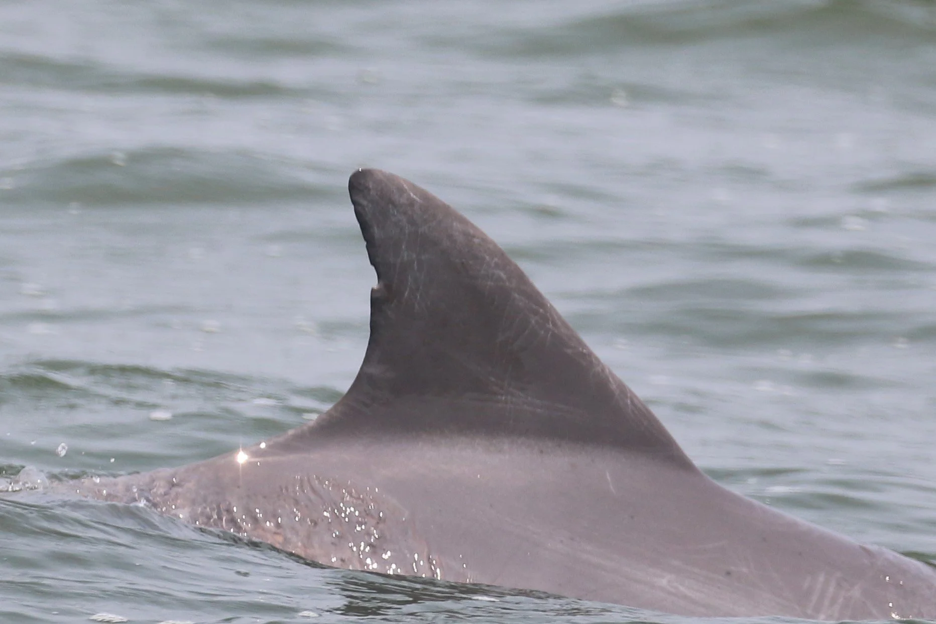 Hillary Rodham Clinton