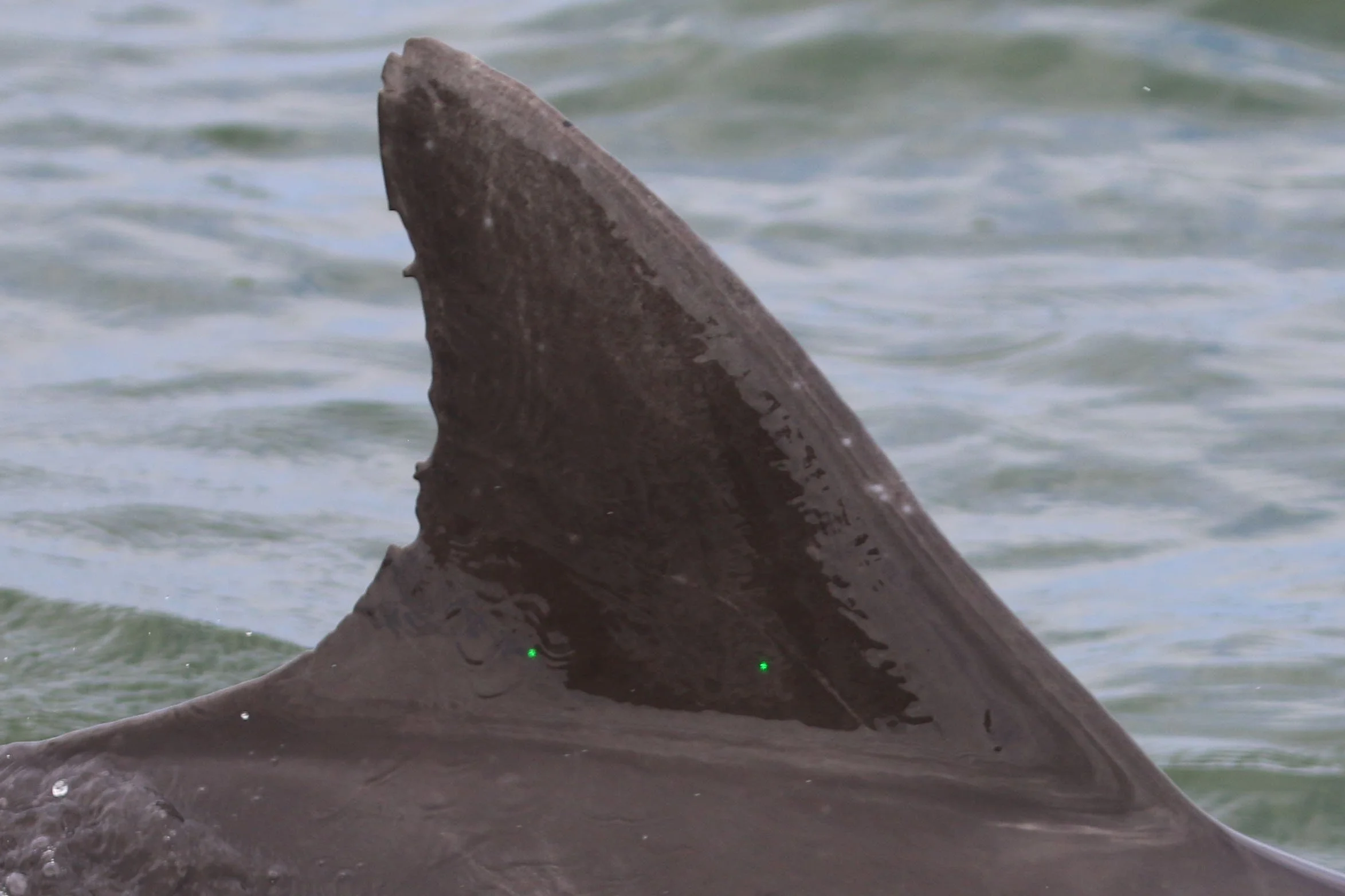 Ronald Wilson Reagan