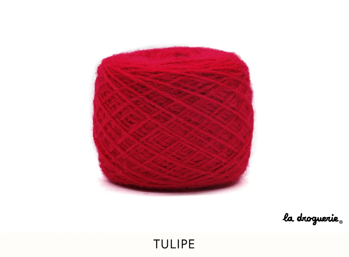1 tulipe.jpg