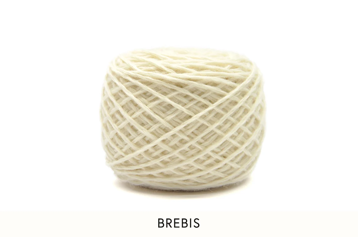 01 Brebis.jpg