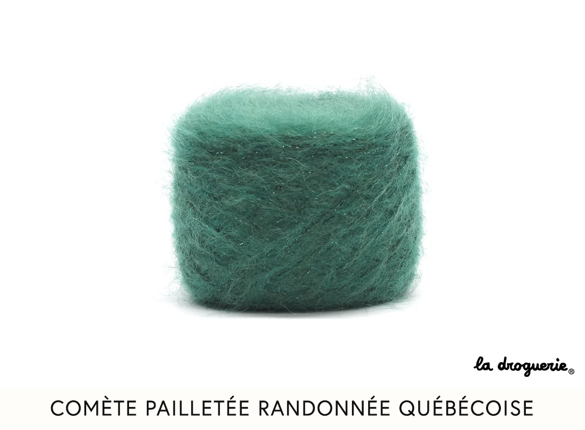 comete randonnee quebecoise.jpg