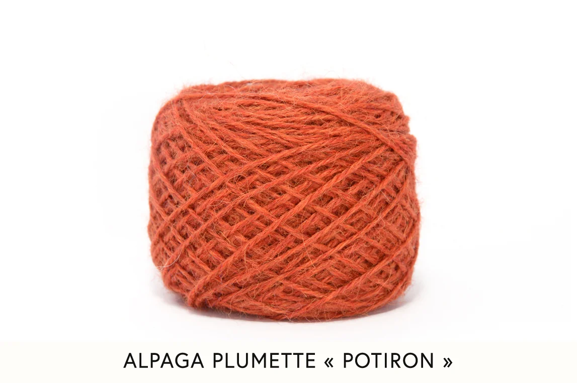 potiron.jpg