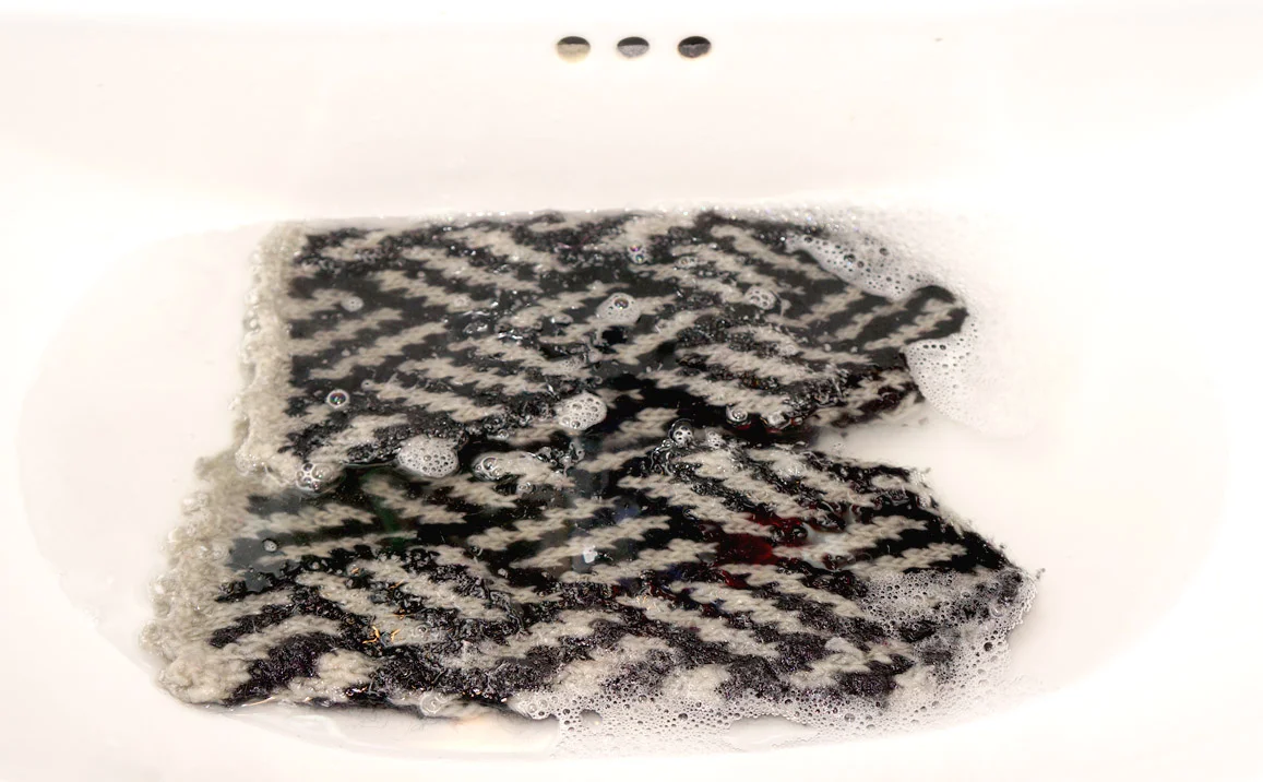bain-zebra.jpg