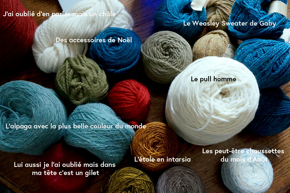 blog2906.jpg