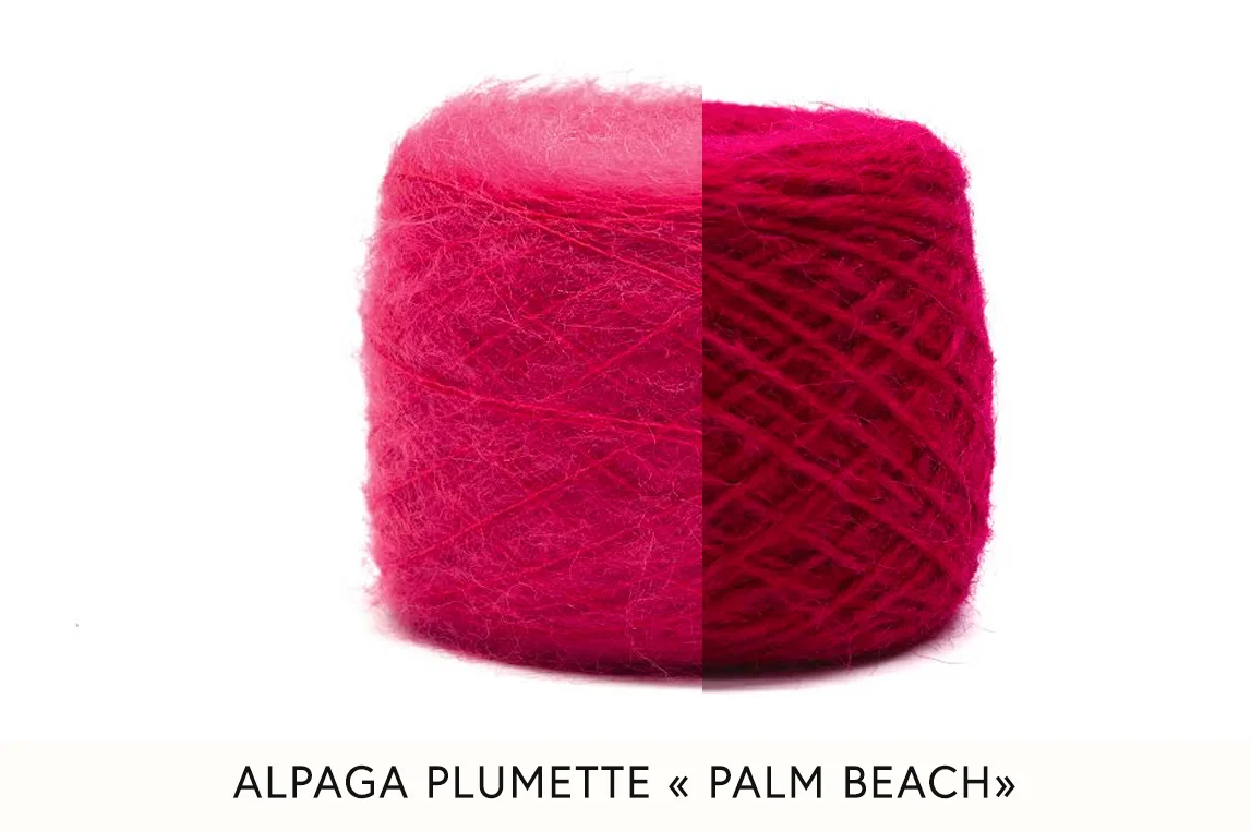 Palm beach.jpg
