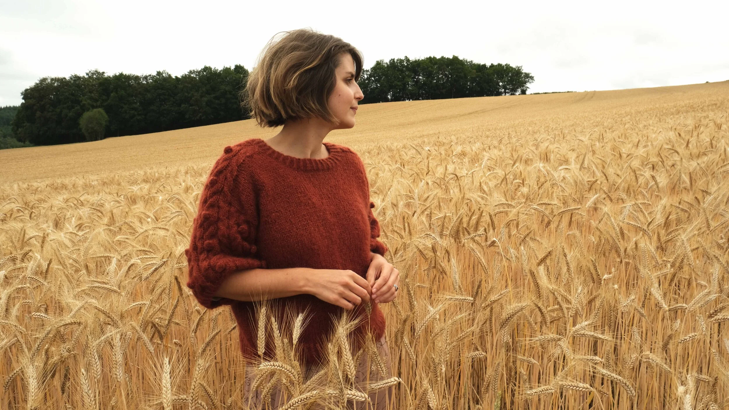 Jour de sortie pour le pull Sigillée ! 