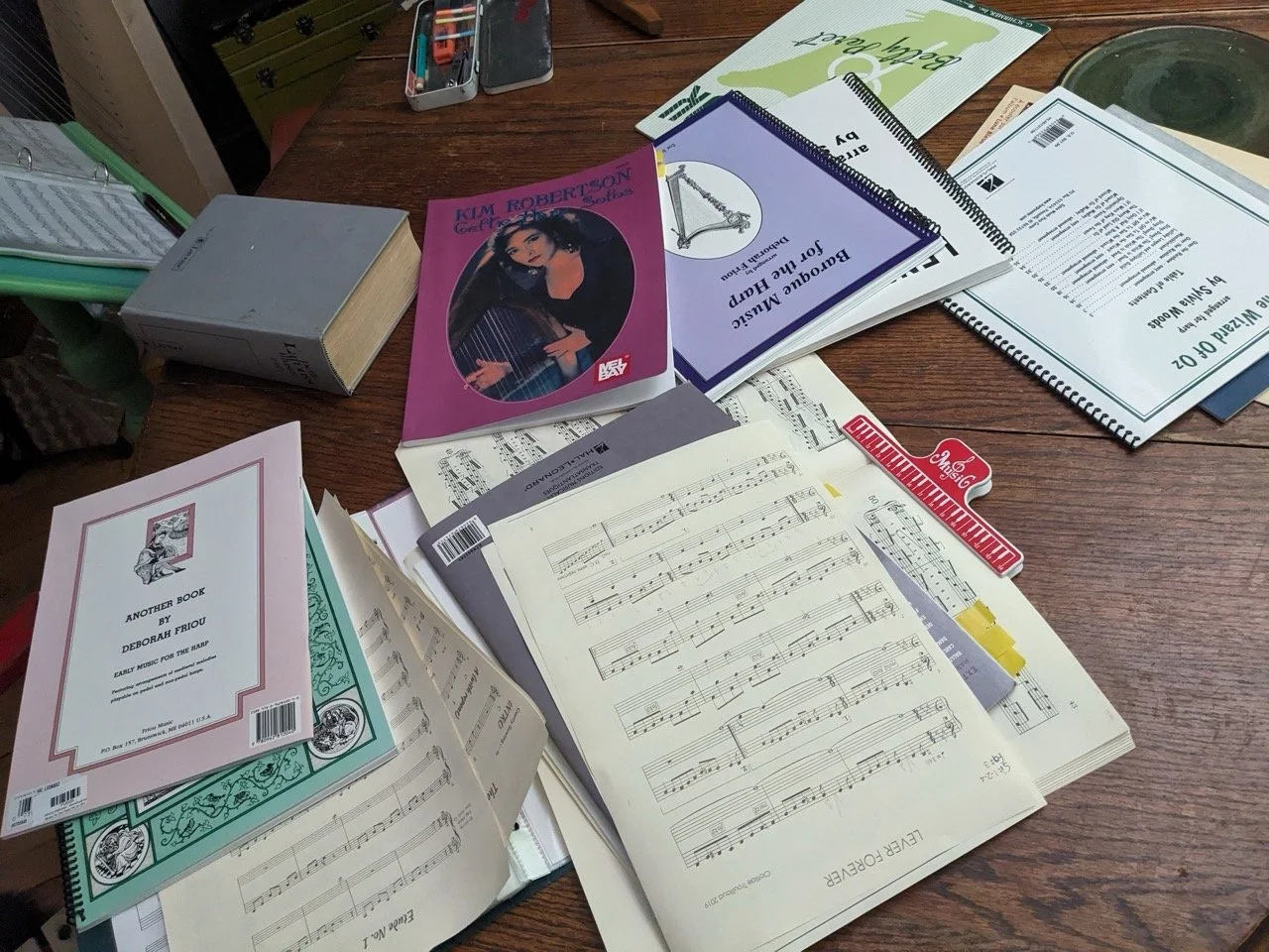 PXL_20250813_075215155 - Grande.jpeg