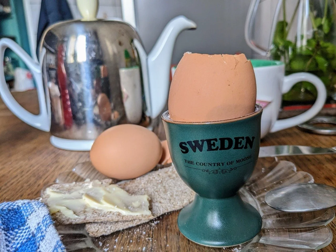 PXL_20250809_063103301 - Grande.jpeg