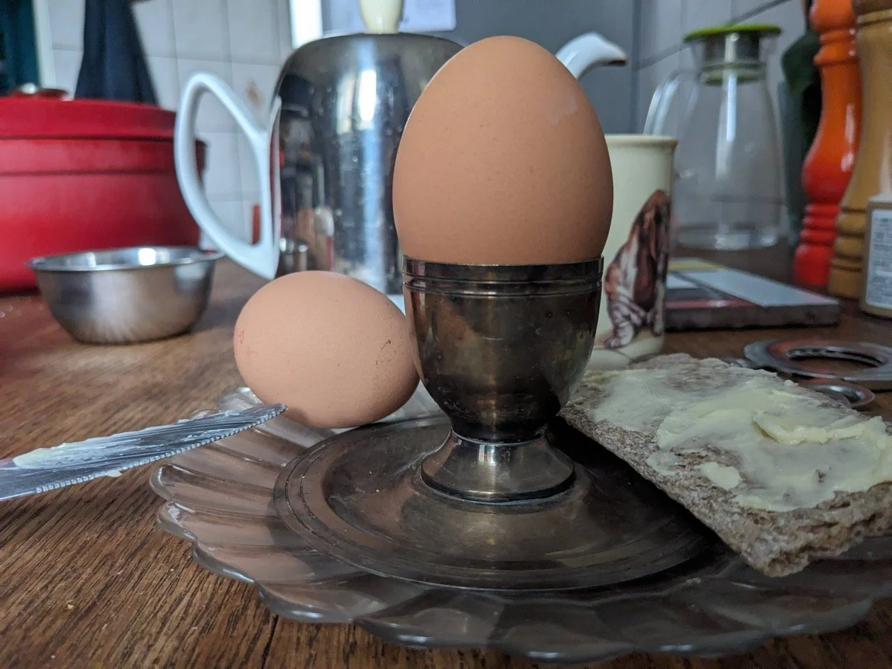 PXL_20250814_053344736 - Grande.jpeg