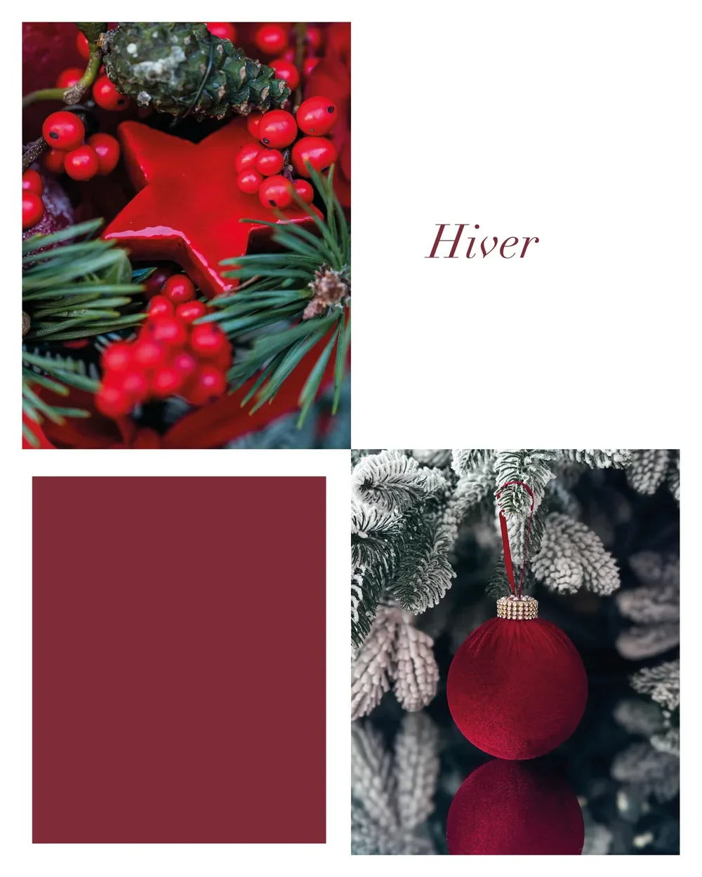 Hiver.webp