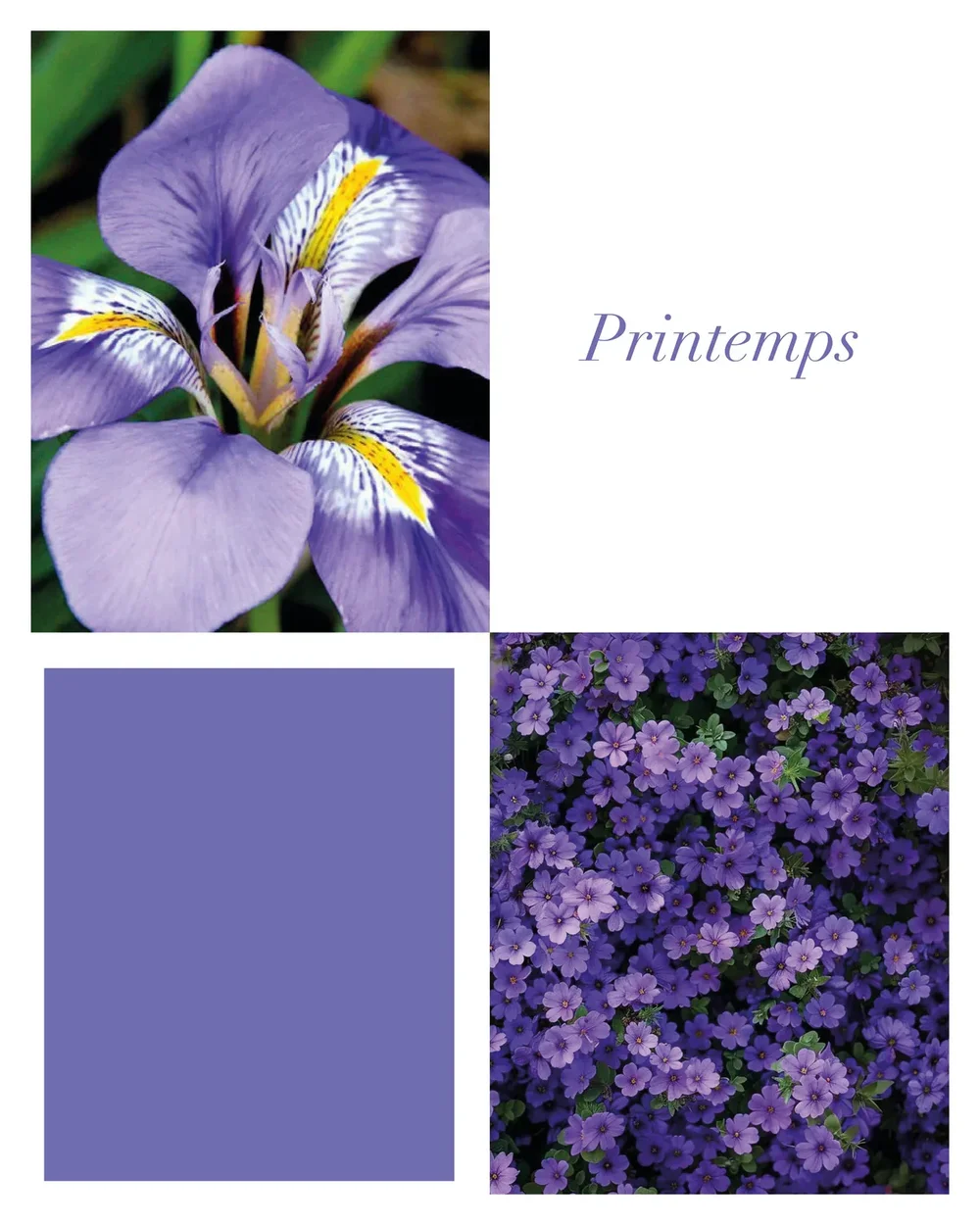 printemps.webp