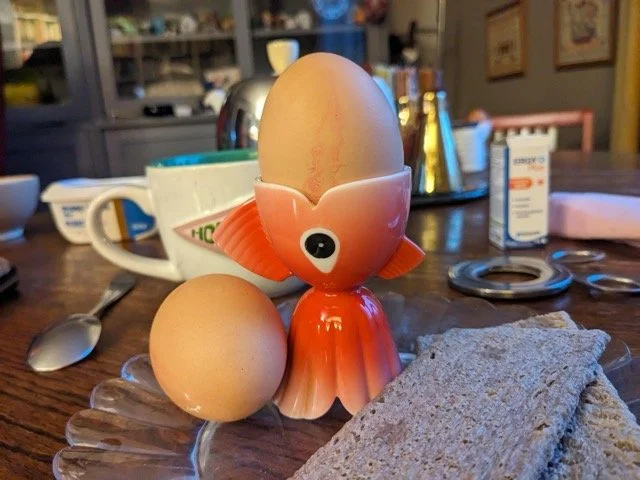 PXL_20250924_054723641 - Moyenne.jpeg