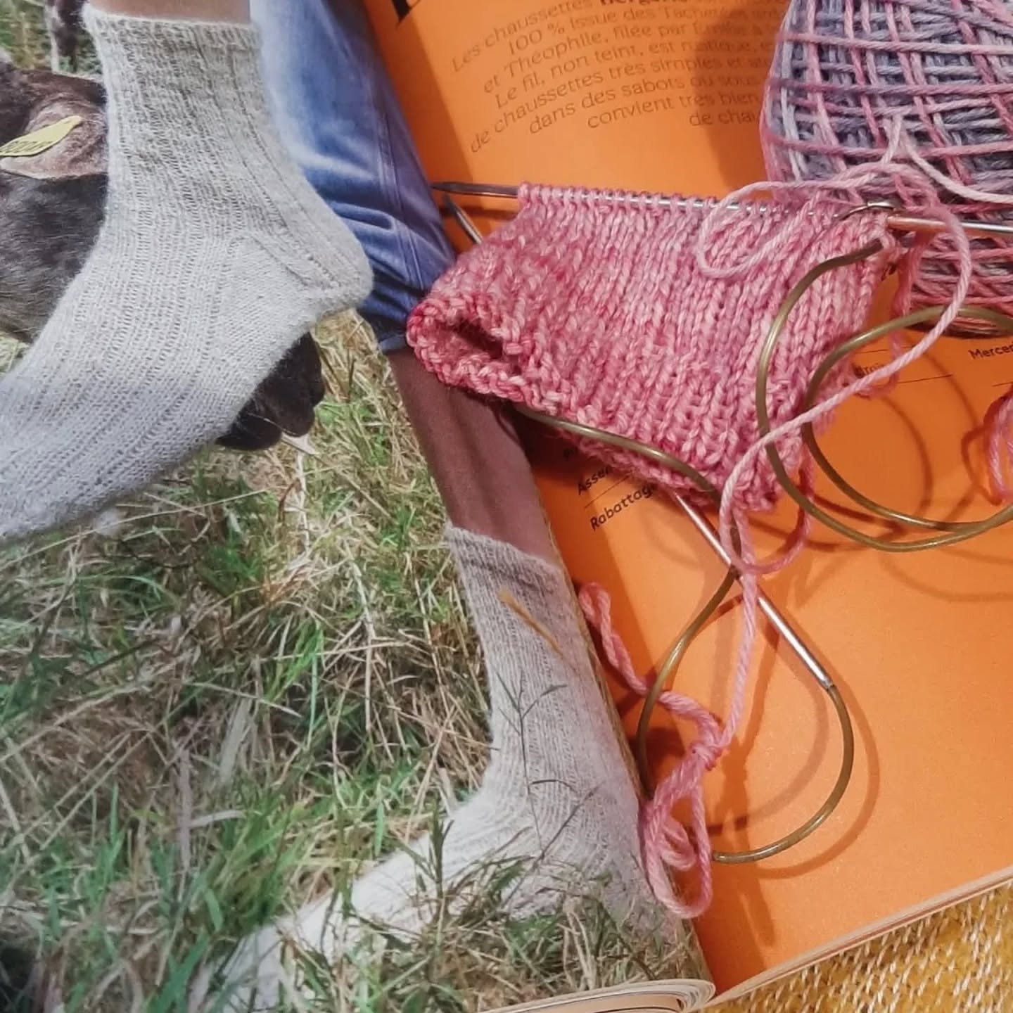 #Repost @antigoneheron with @let.repost 
&bull; &bull; &bull; &bull; &bull; &bull;
J'ai commenc&eacute; hier soir des chaussettes avec un des &eacute;cheveaux achet&eacute;s chez La mercerie La Rochelle samedi dernier. Je fais le mod&egrave;le "