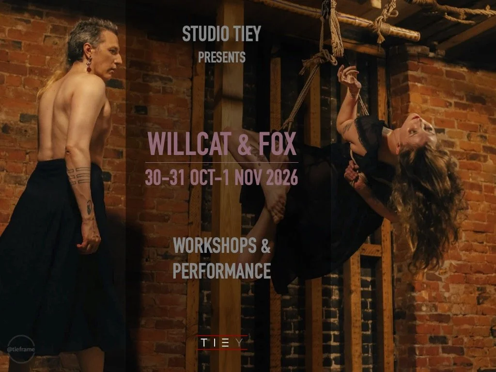 WillCat &amp; Fox @StudioTIEY