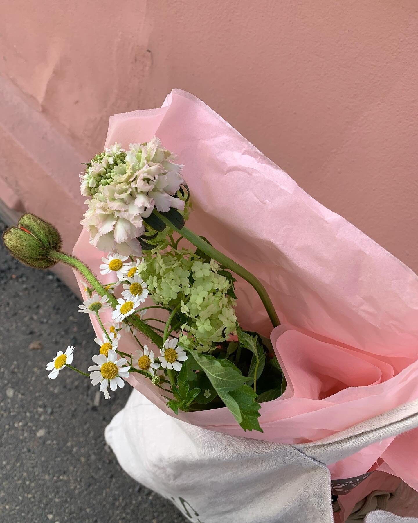 April, ogs&aring; ble det endelig v&aring;r🌸