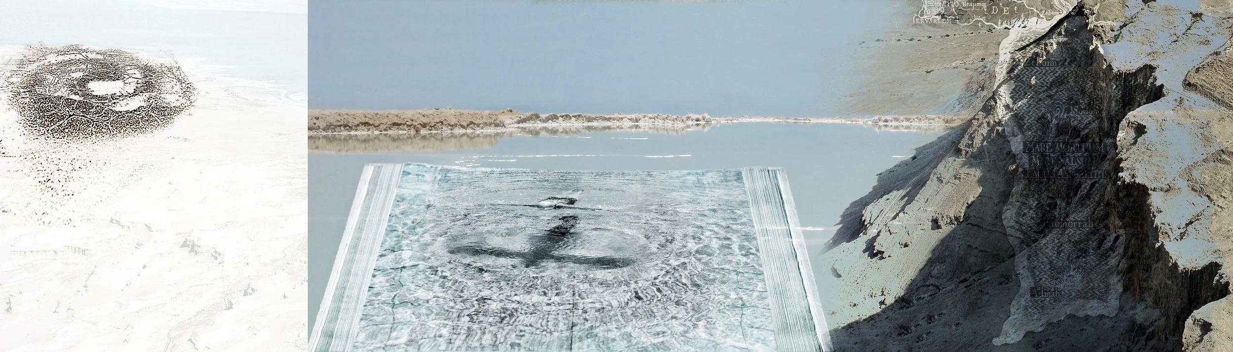 Dorit Feldman, Genetic Imprints, 2013, inkjet print on archival paper, edition 3/5, 16 x 50 inches