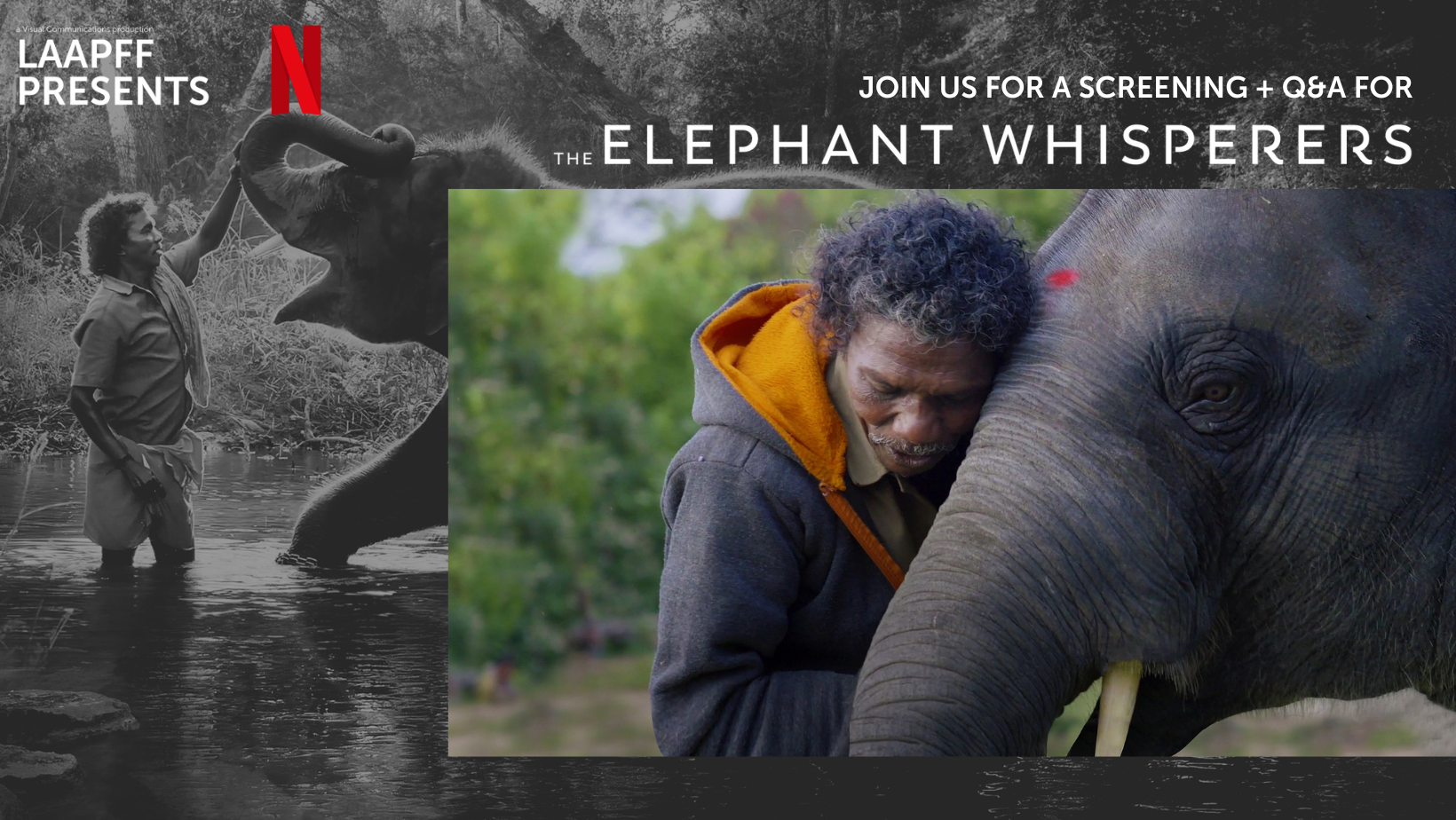 LAAPFF PRESENTS: THE ELEPHANT WHISPERERS