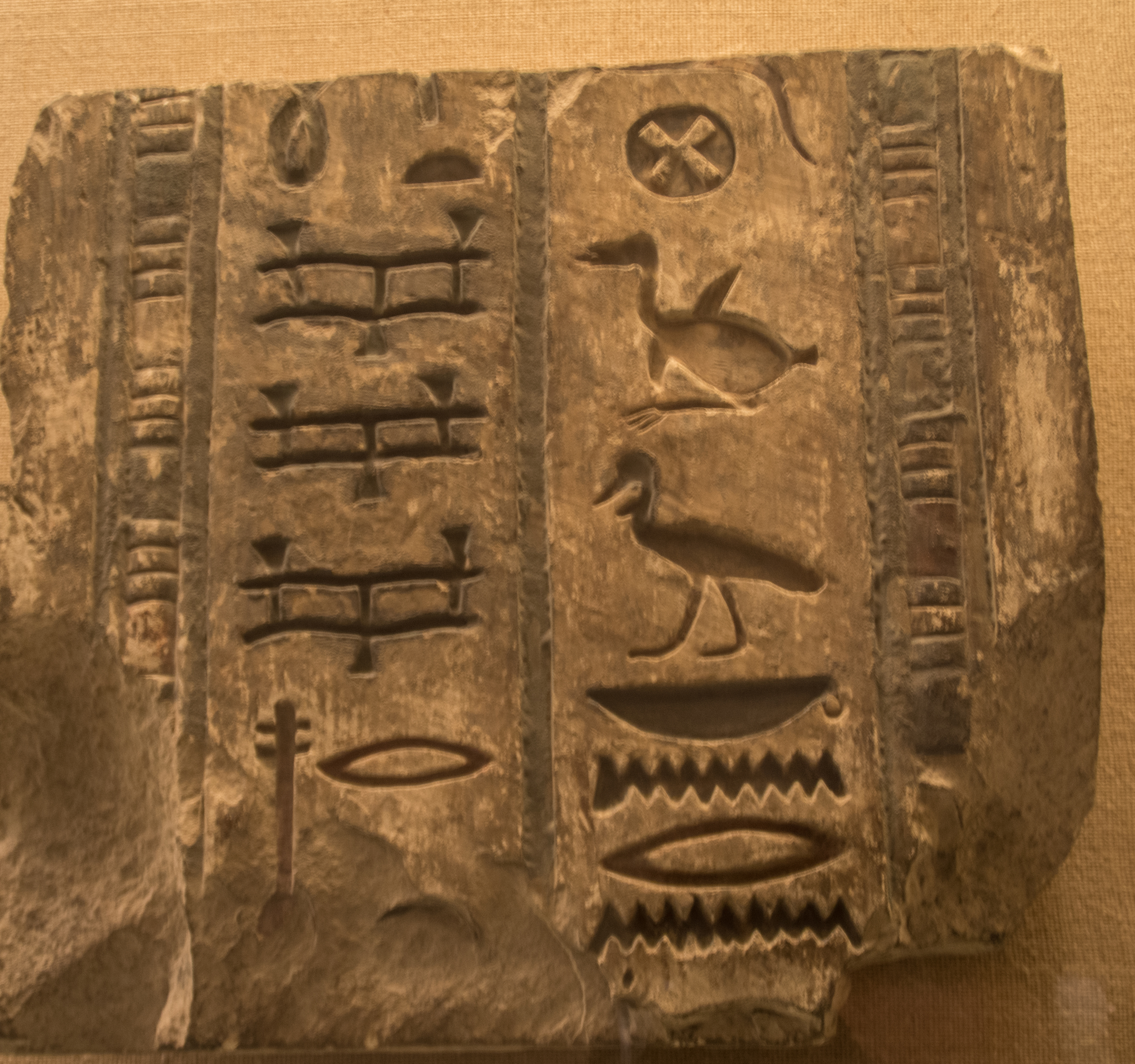 TSP_2189.jpg
