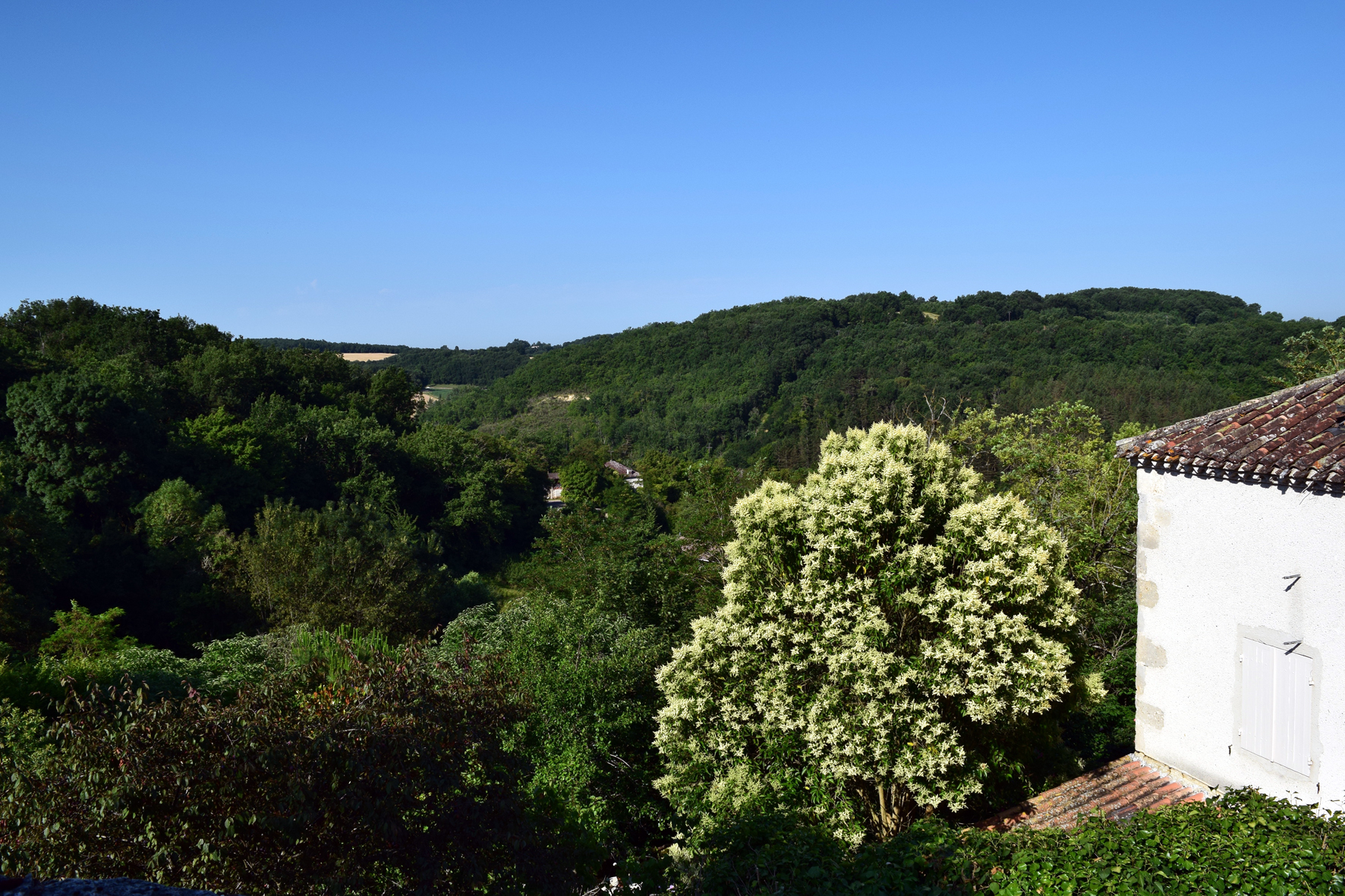 DSC_0365.jpg