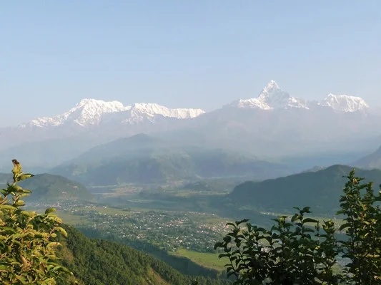 What Mindfulness Means to Me, and Why it's So Important