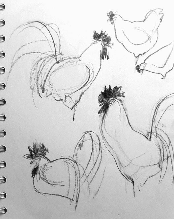 Chuck studies