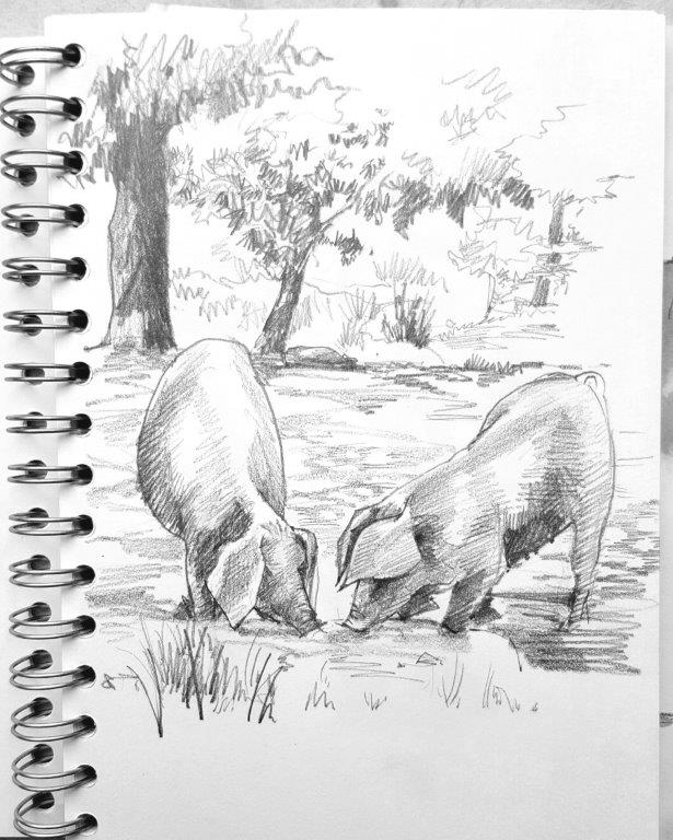 Pigs under the trees