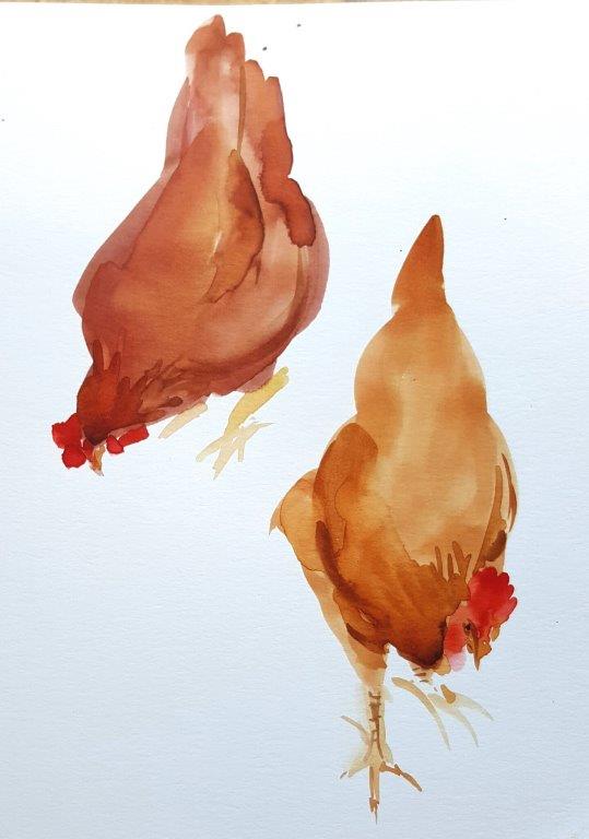 Another pair of chickens