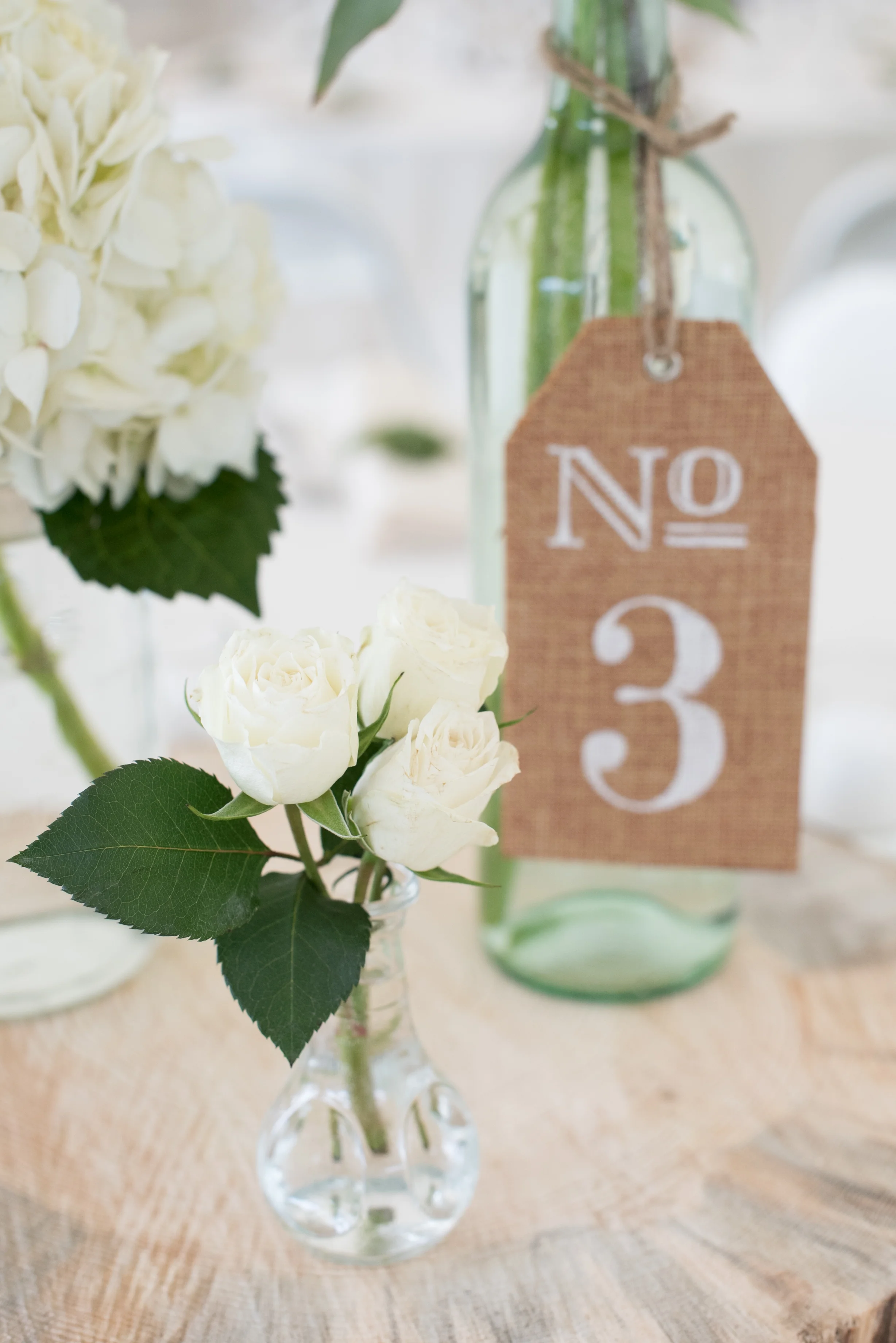 Meghan Brosnan Photography