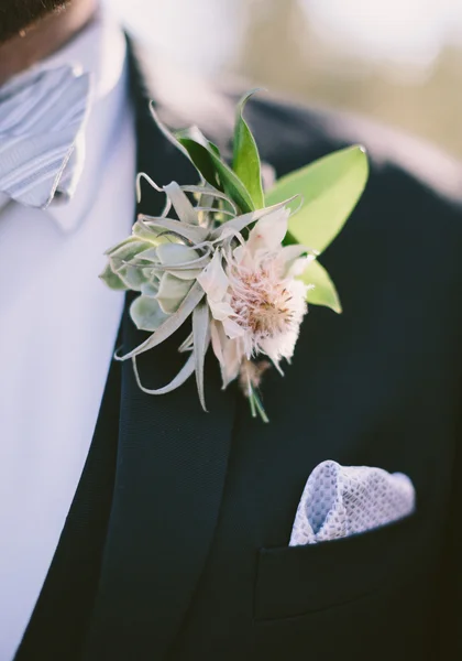 Jessica Janae Photography